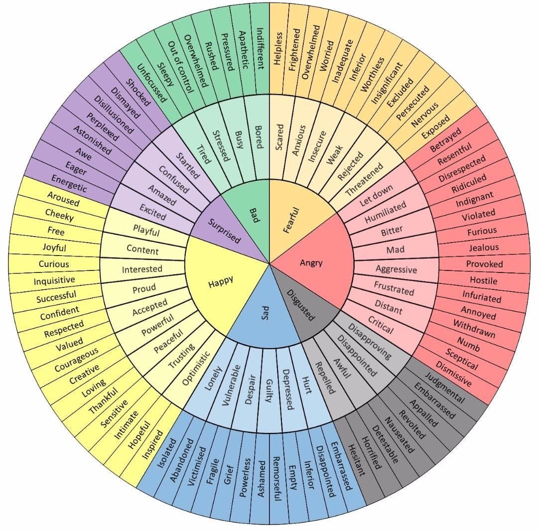 The emotion wheel showing six core emotion families branching into more specific emotional states